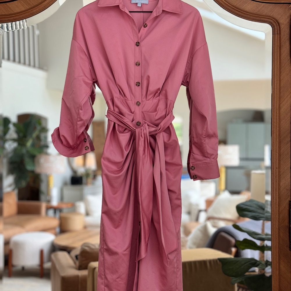 ANTONIO MELANI Roxanne Pink Tie Front Long Sleeve Dress